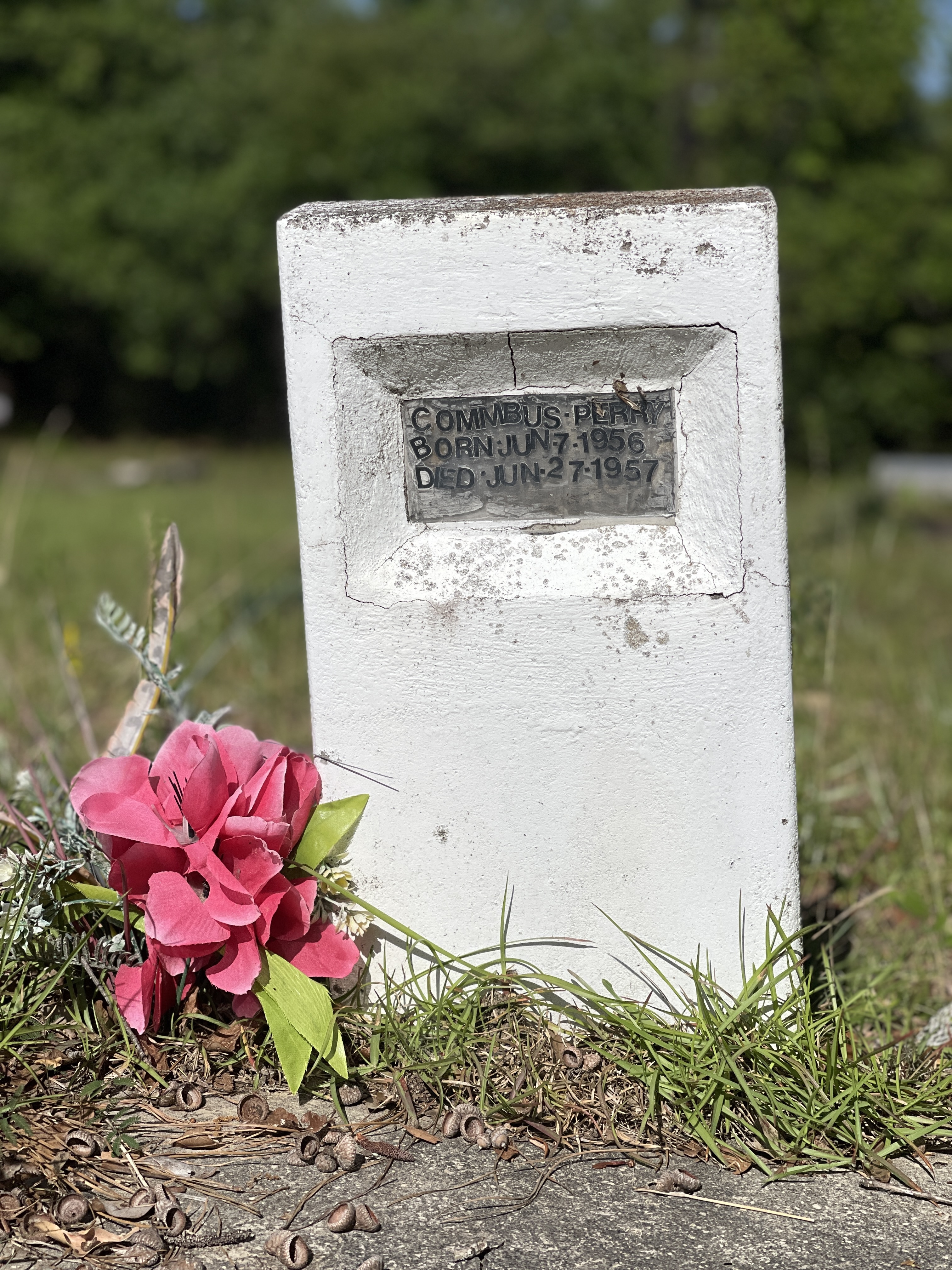 Piney green Baptist Church & cemetery in Lyons, Ga