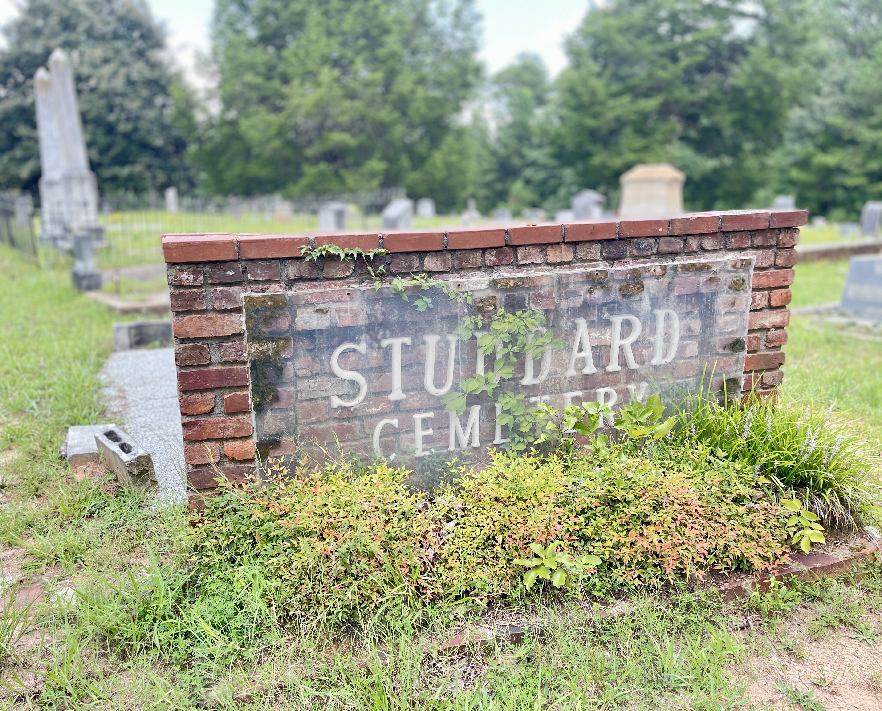 Studdard cemetery & a horror movie side quest in rutledge, ga