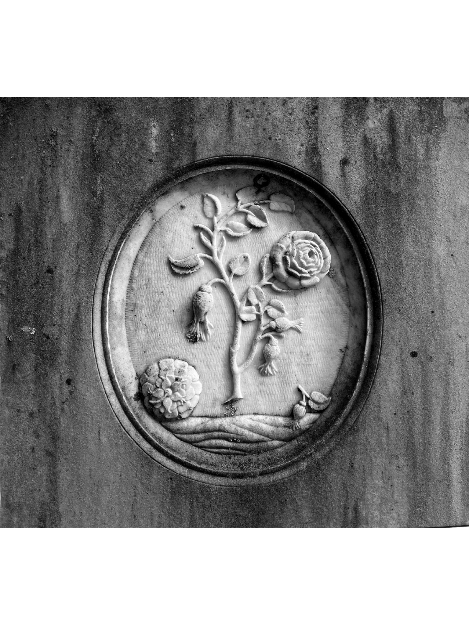 A Brief Introduction to Victorian Era Floriography in Funerary Art