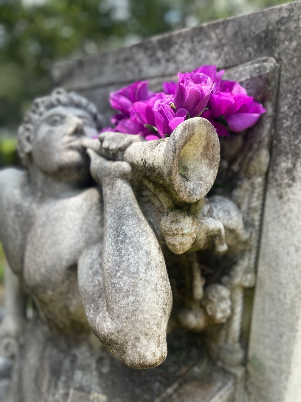 Evergreen Cemetery in Jacksonville,&nbsp;Fl