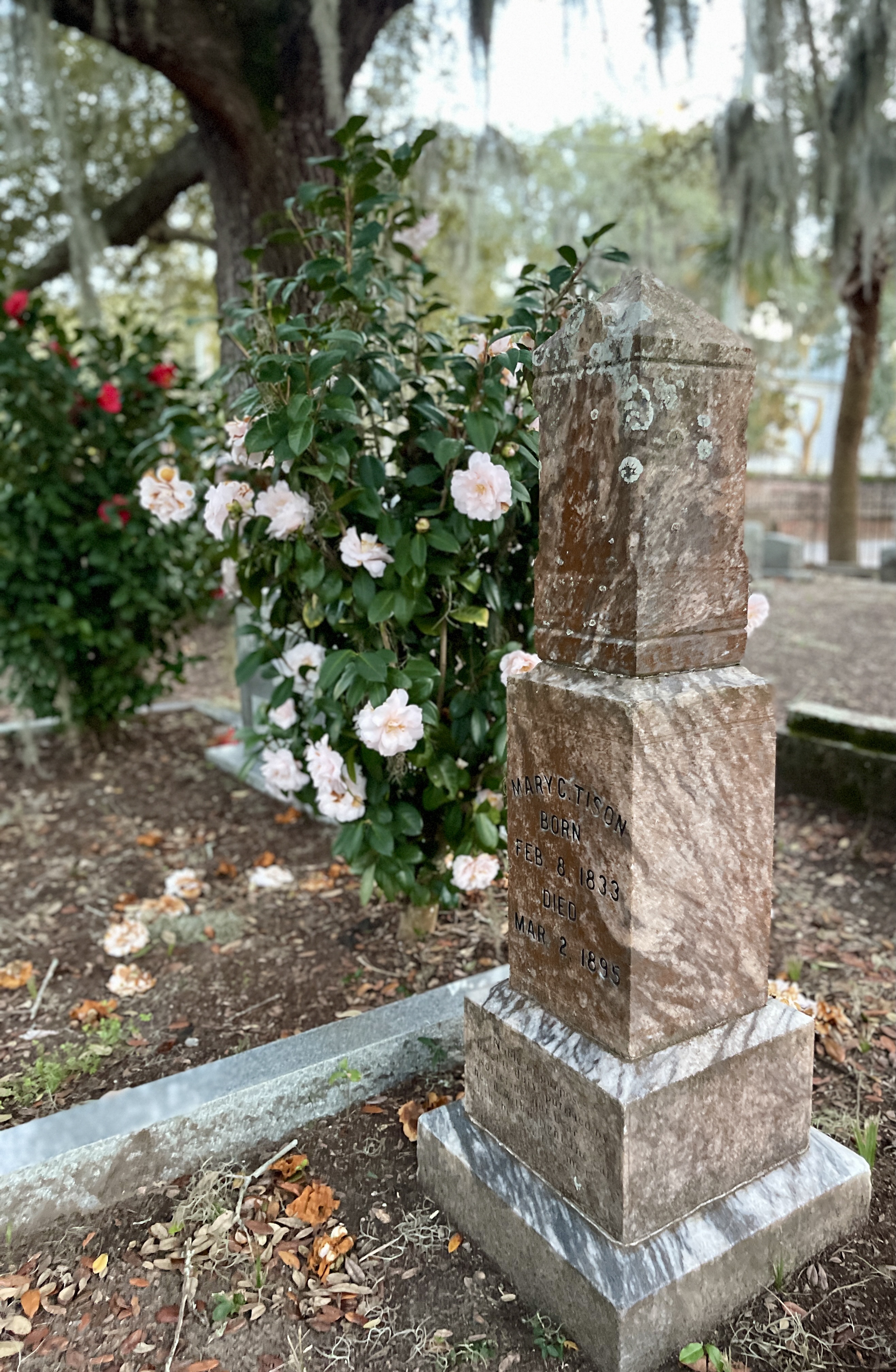 Spring Sprang Sprung: Reasons to Explore A Cemetery Right Now
