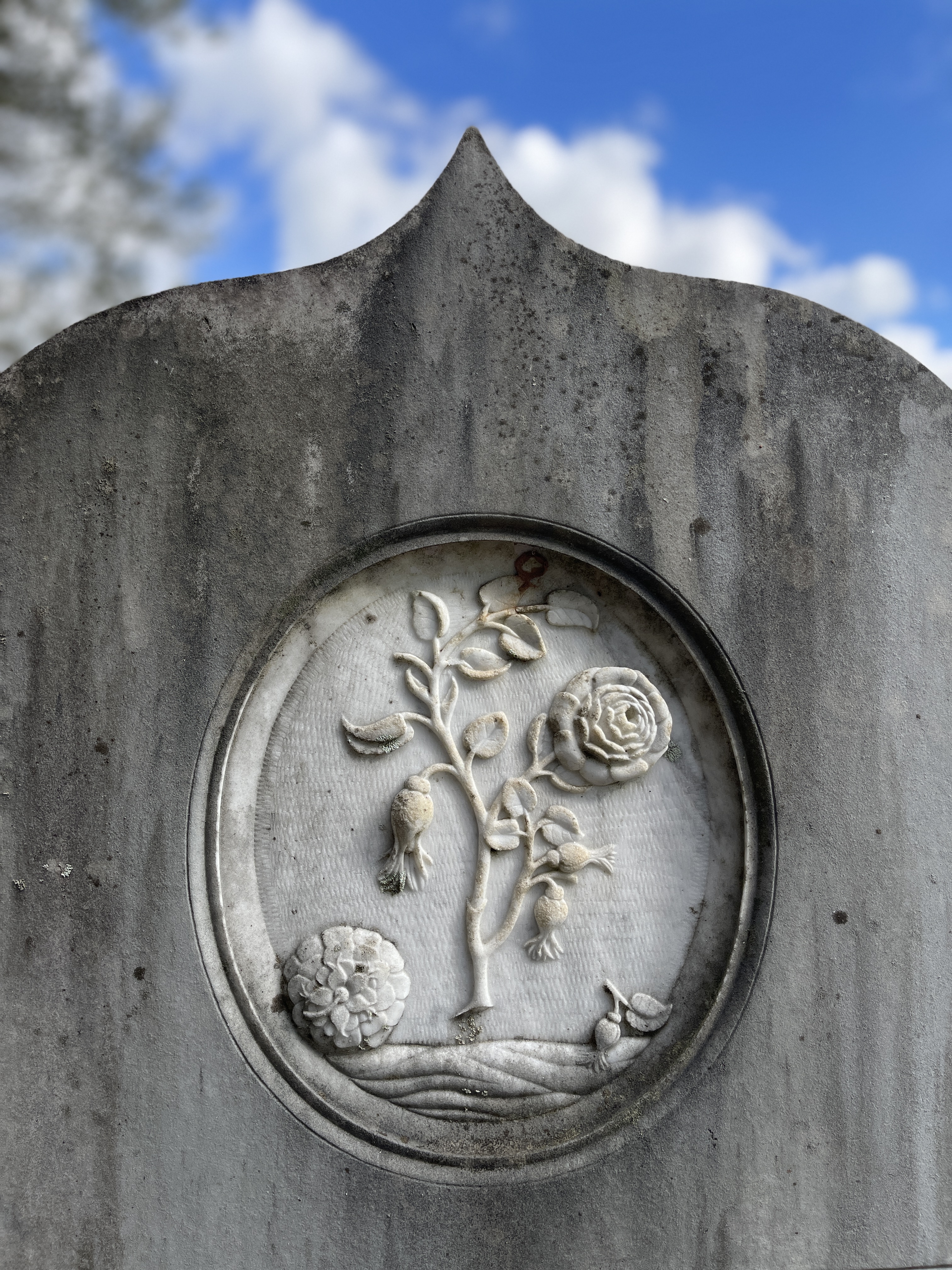 First Looks (Kind Of?): Memory Hill Cemetery in Milledgeville, Ga