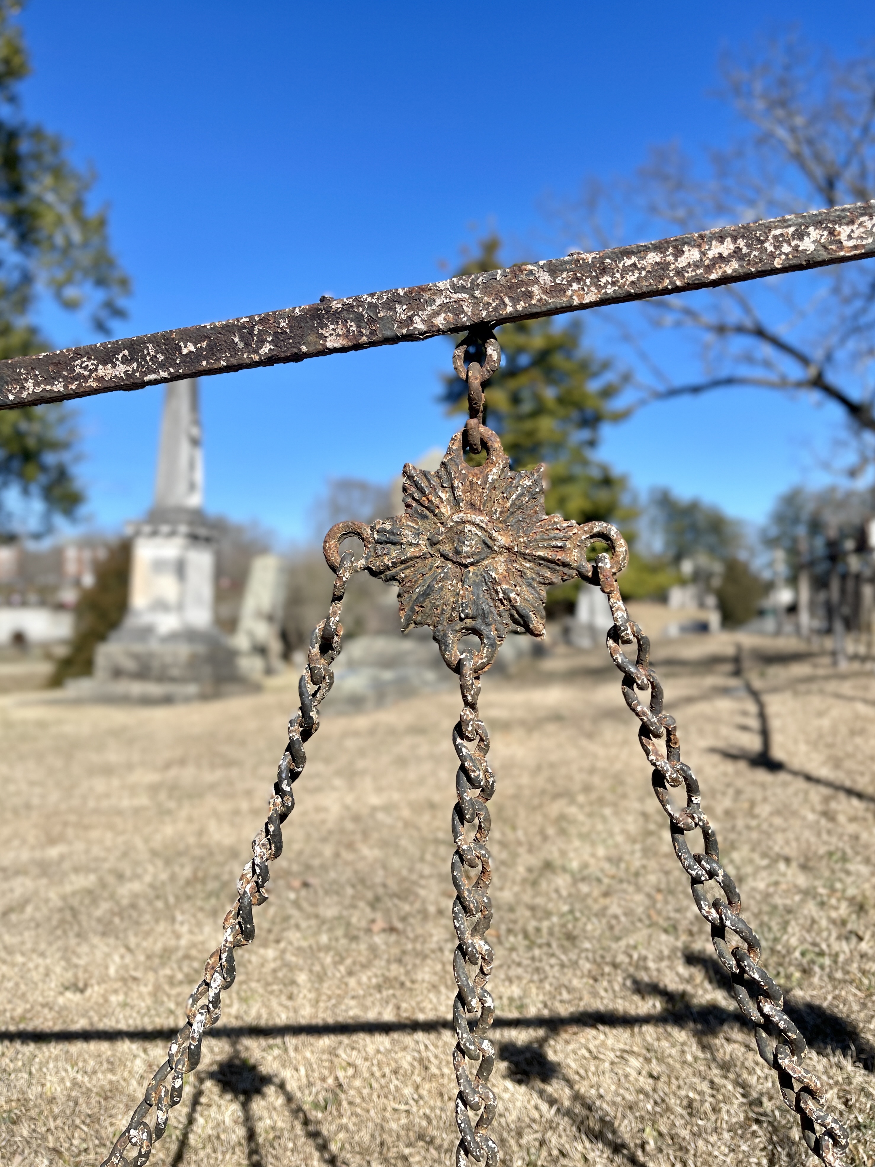 The Cemeteries of Athens, Ga