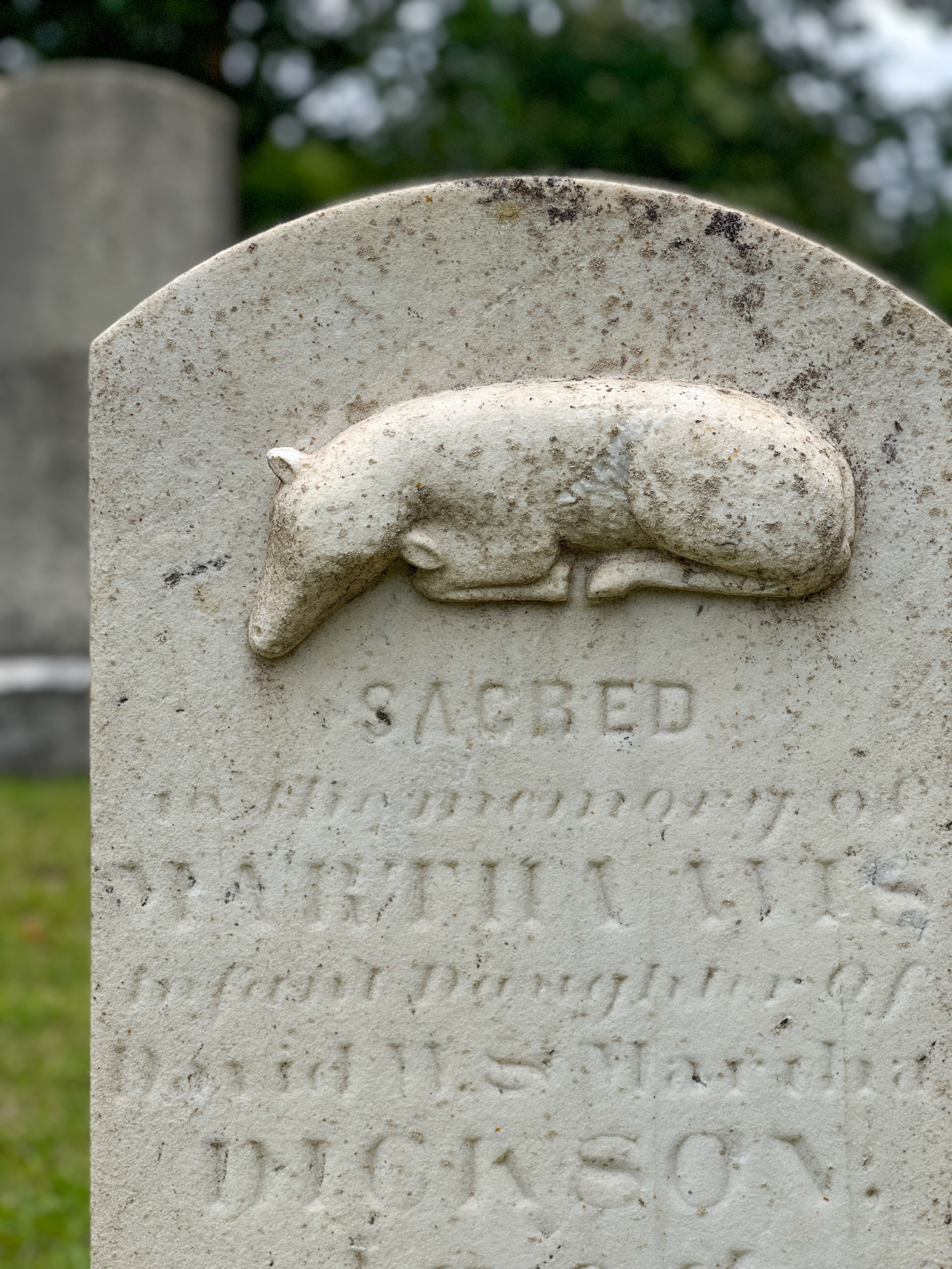 First Looks: Marietta City Cemetery in Marietta, Ga