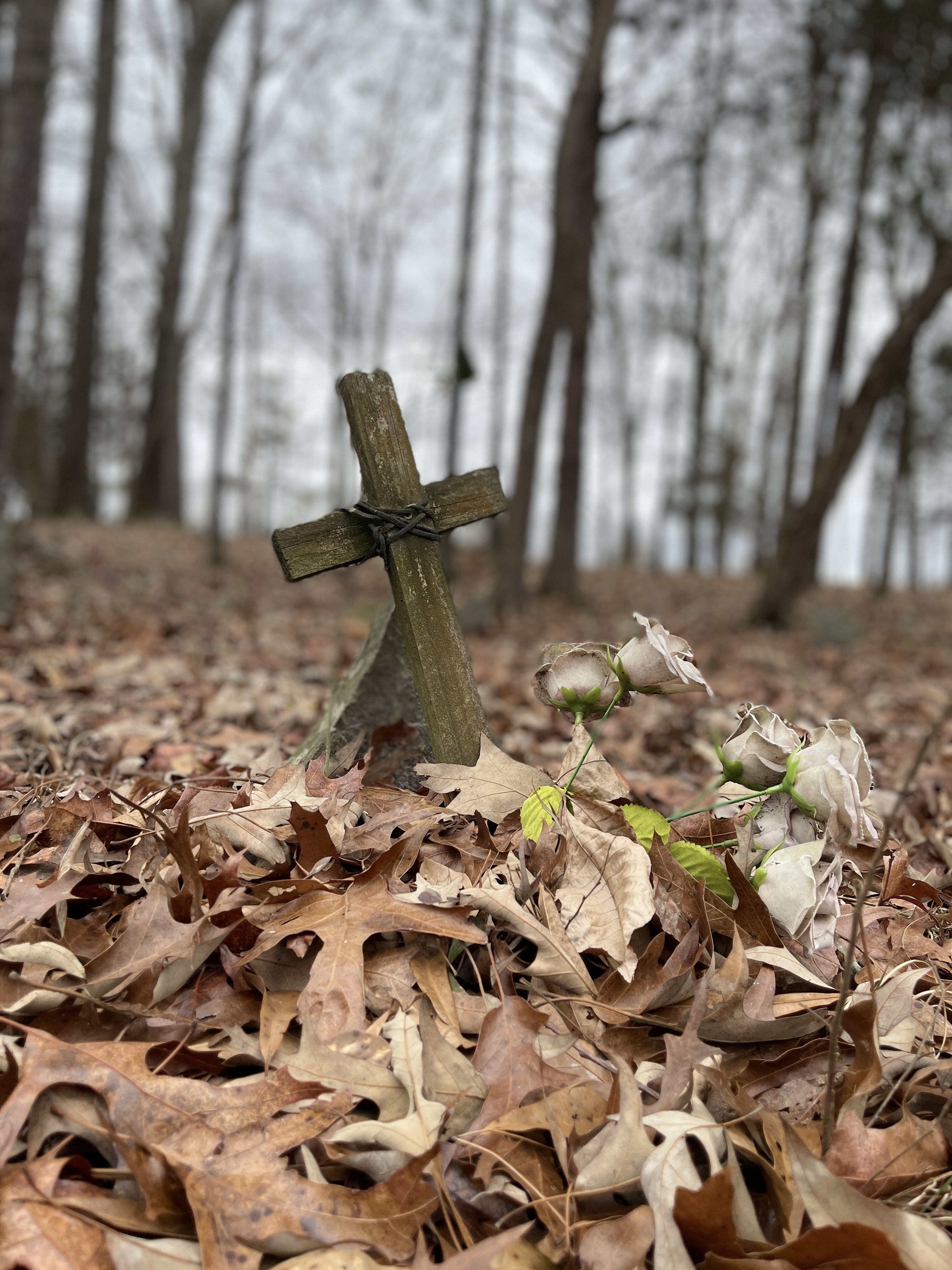 Black Pioneer Cemetery in Euharlee, Ga