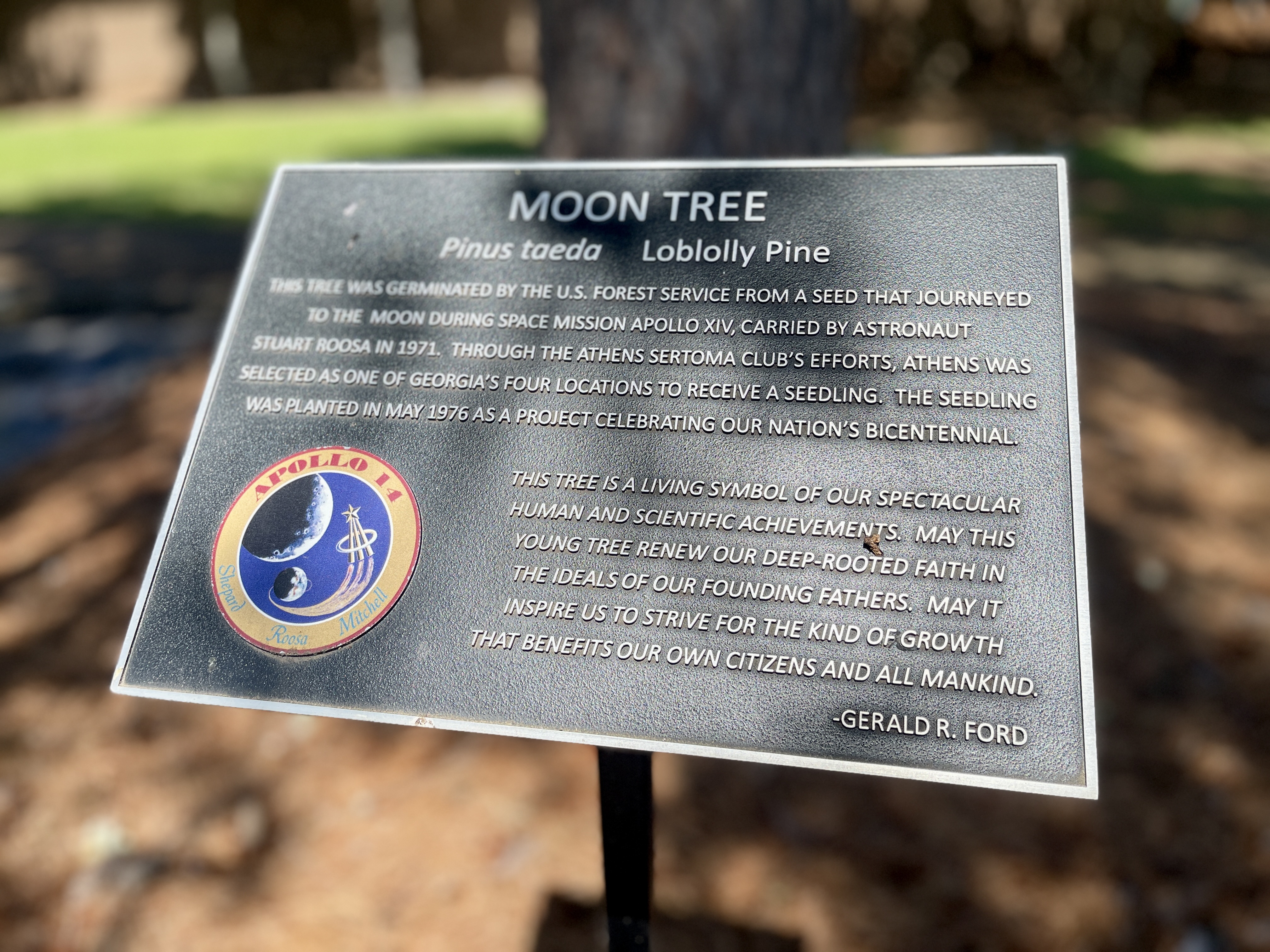 Beyond the Grave: The Moon Trees of/near Athens